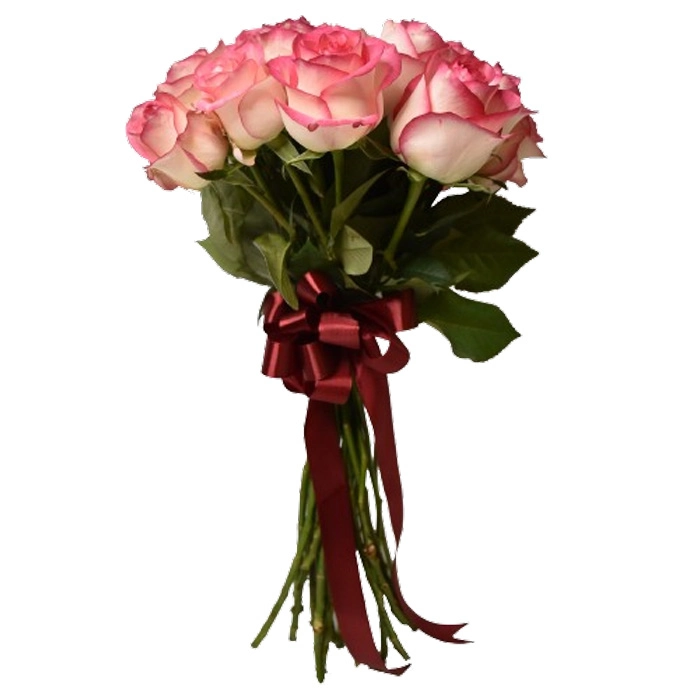 خرید گل رز هلندی صورتی بسته ی 20 تایی رنگ - ارگ گل