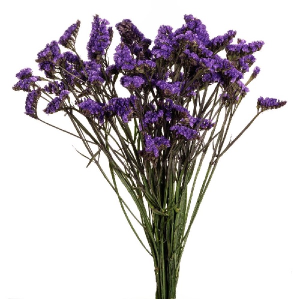 دسته گل زنبوری بنفش رنگ