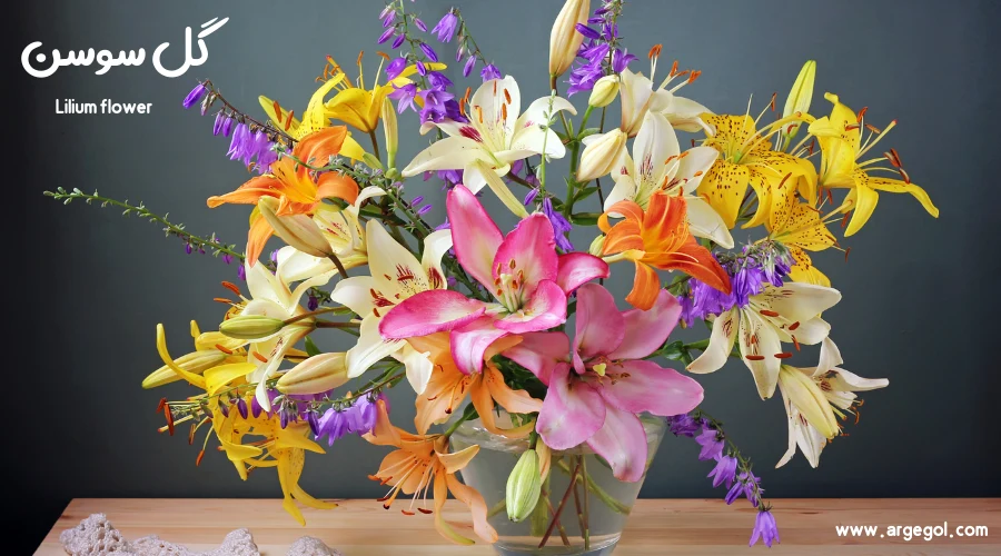 گل سوسن بهترین ایده برای گل ماه تولد اردیبهشت