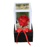 خرید باکس رز جاودان لاکچری